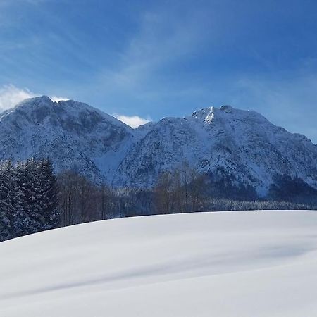'Dasbergblick' อัลท์เอาส์เซ ภายนอก รูปภาพ